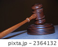 木槌ち 2364132