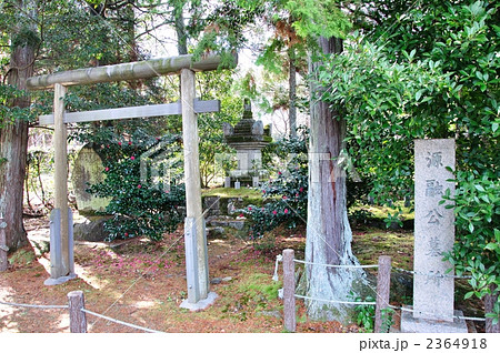 京都清涼寺・源融の墓 2364918