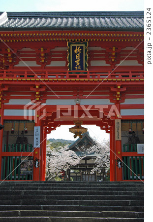 京都 新日吉神宮 楼門と桜 京都 新日吉神宮 楼門と桜 2365124