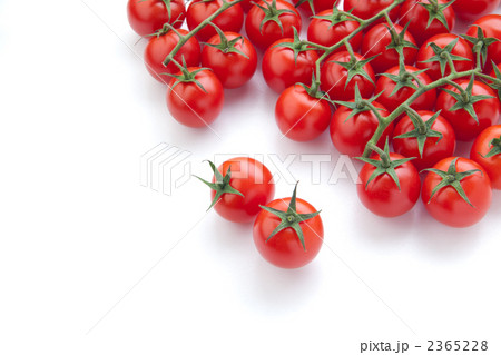 トマト 2365228