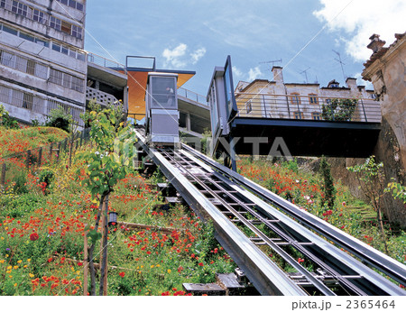 コインブラ市内 コインブラ市内 2365464