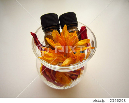 癒しのインテリア 2366298