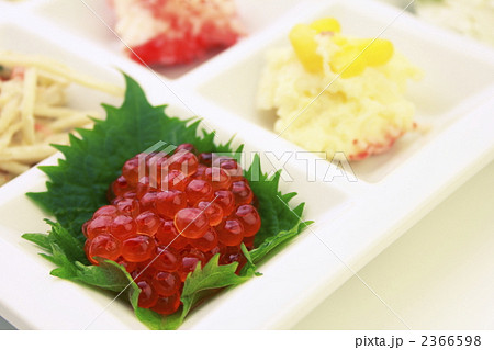 イクラ イクラ 2366598