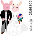 結婚うさぎ 2366809