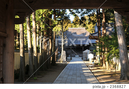 【四国八十八ヶ所】第二十九番 土佐国分寺 山門越しの本堂 高知県南国市 【四国八十八ヶ所】第二十九番 土佐国分寺 山門越しの本堂 高知県南国市 2368827