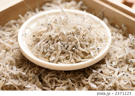 青口ちりめん 青口ちりめん 2371125