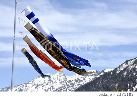 鯉のぼり 2371185