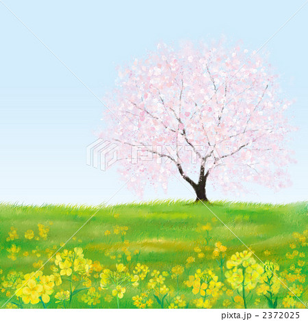 春の風景のイラスト素材 2372025 Pixta