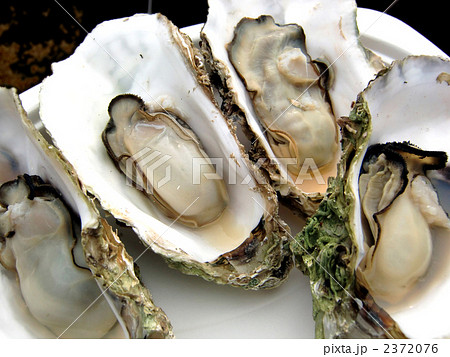 松島の焼かき４ 2372076