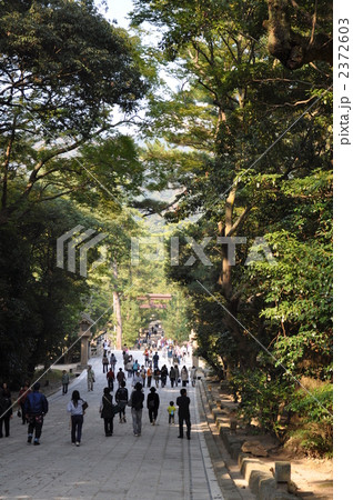 出雲大社　参道 2372603