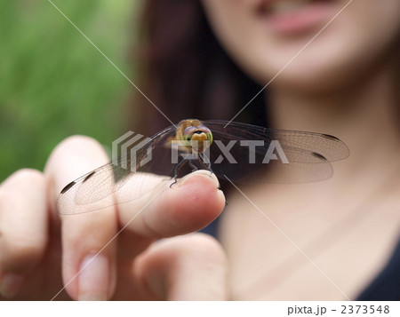 2373548