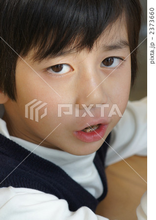 もぐもぐ 2373660