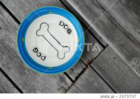 犬用の皿 犬用の皿 2373737