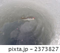 氷上ワカサギ釣り 2373827