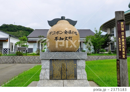 デコポン 2375183