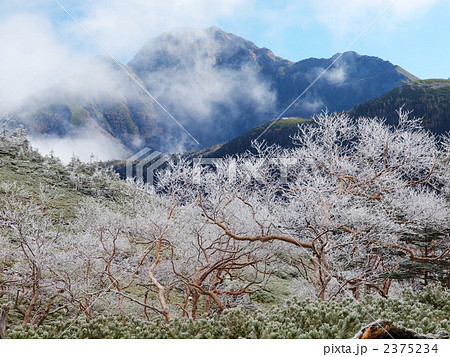 霧氷と塩見岳 2375234
