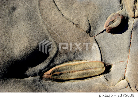 日南海岸の奇岩 日南海岸の奇岩 2375639