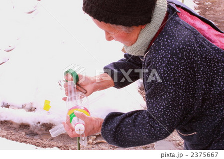 鹿おどし 2375667