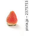 いちご 2375753