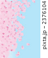 桜の花びら　青空　 2376104