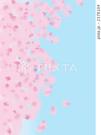 桜の花びら　青空　 2376104
