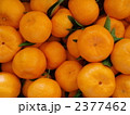 2377462