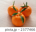 2377466