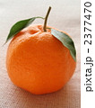 2377470