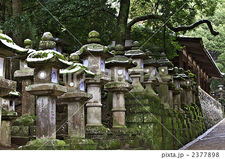春日大社参道 春日大社参道 2377898