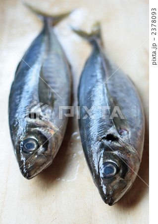 まな板の上の真鯵 2378093