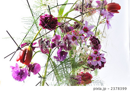 Spring Wind Spring Wind 2378399