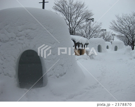 カマクラ 2378870