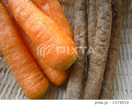 根菜クローズアップ 2378919