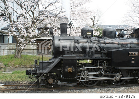 桜と蒸気機関車 2379178