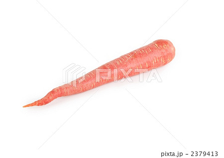 金時人参 2379413