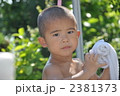 2381373