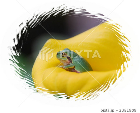 2381909