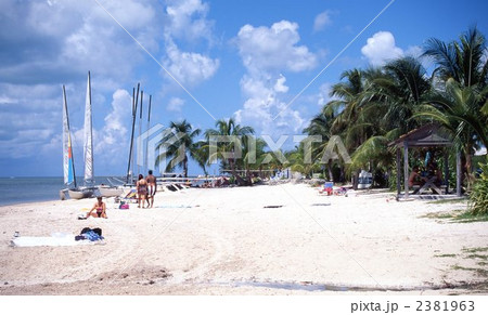 キーウエスト 2381963