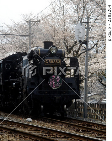桜のトンネルを走る蒸気機関車 2382264