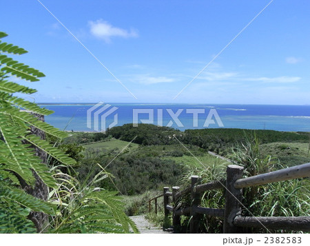 はての浜を望める丘 2382583