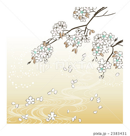散る 山桜 桜のイラスト素材