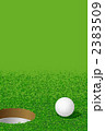 ゴルフ:Ball and Hole（Golf:Ball and Hole） 2383509