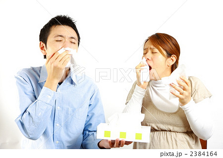 くしゃみをするカップル くしゃみをするカップル 2384164