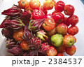 アセロラとローゼル 2384537