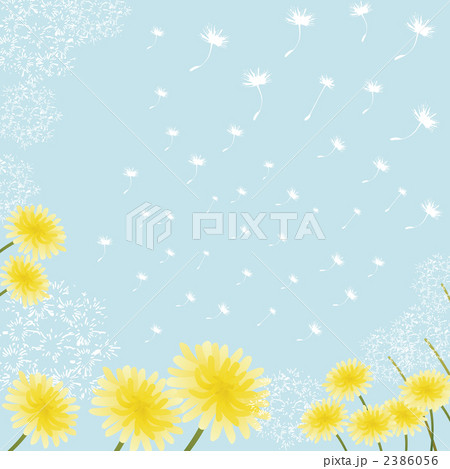 タンポポ 花 明るいのイラスト素材 タンポポ 花 明るいのイラスト素材