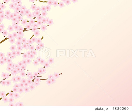 桜 壁紙 明るいのイラスト素材
