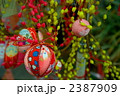 餅花 2387909