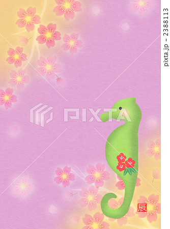 タツノオトシゴ 2388113