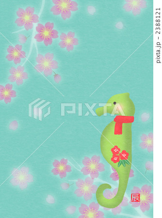 タツノオトシゴ 2388121