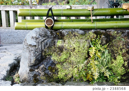 苔生す手水鉢 苔生す手水鉢 2388568